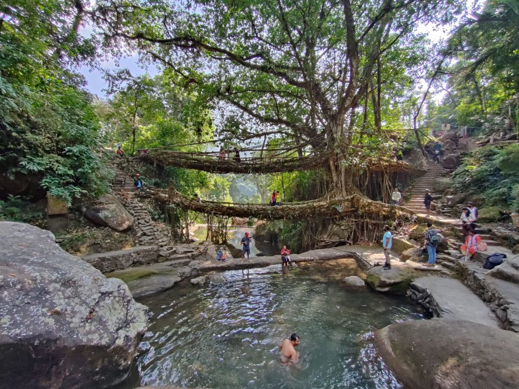 Double Decker Root Bridge, Meghalaya