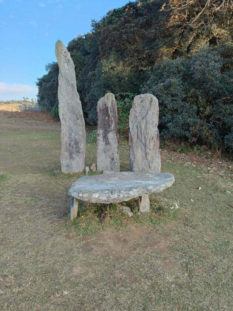 scared forest stones