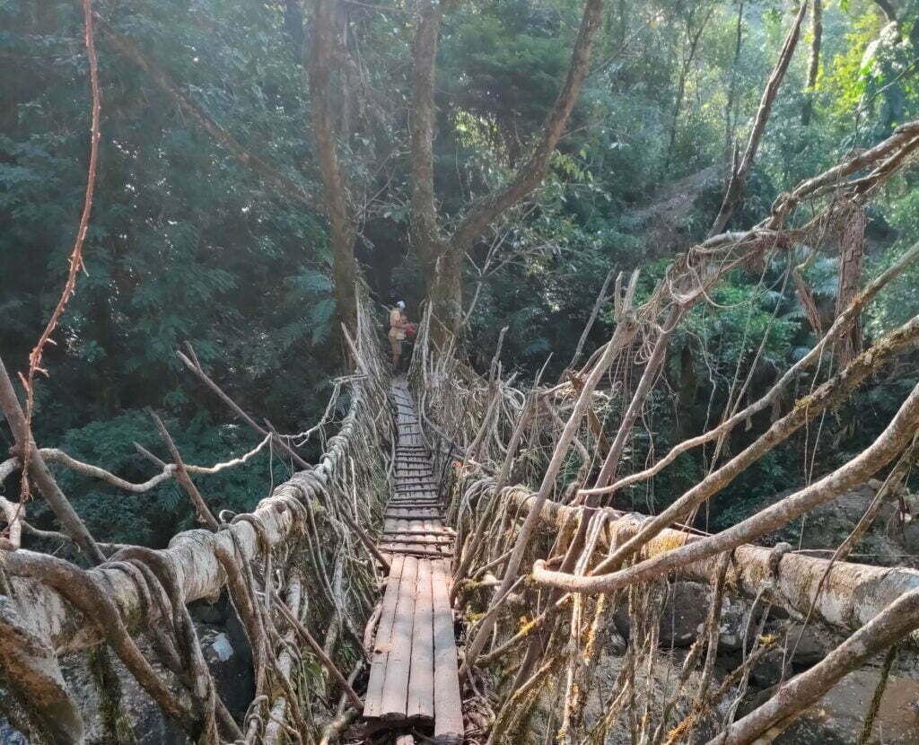 Single Living Riit Bridge, Meghalaya