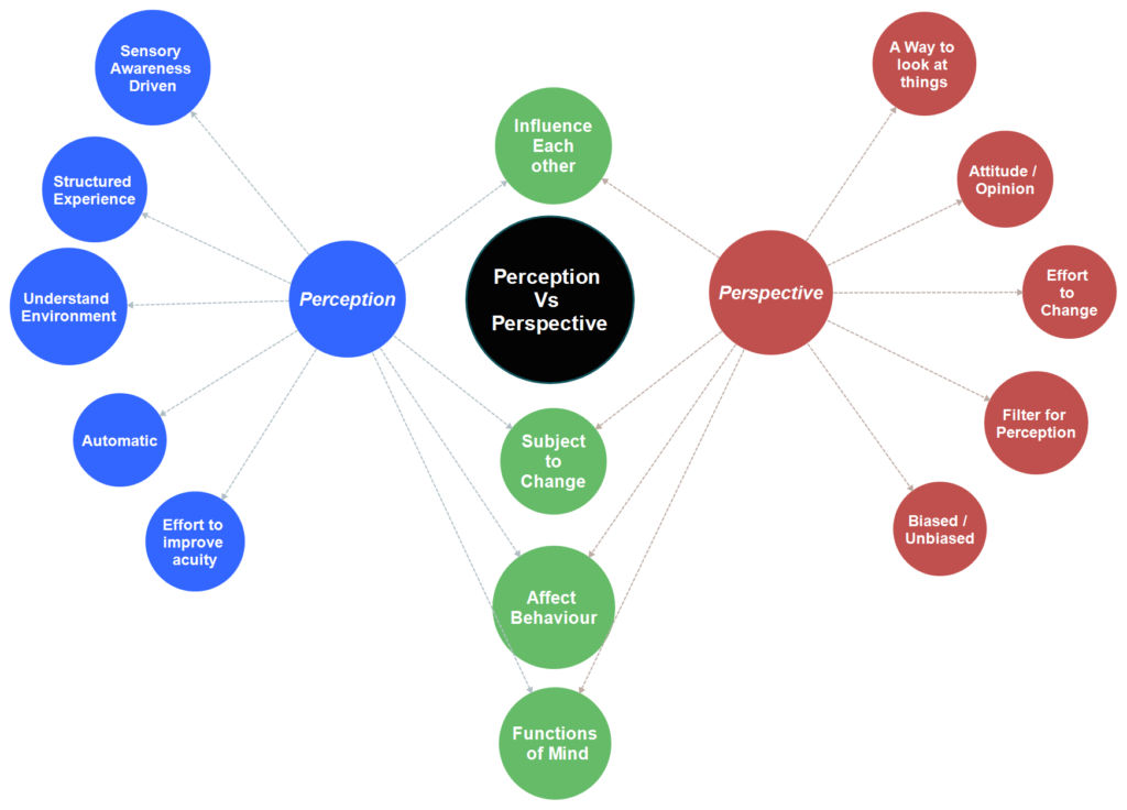 difference between perception vs perspective