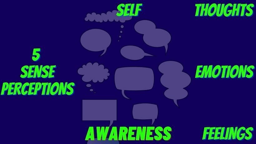 Self-Awareness - What is within?