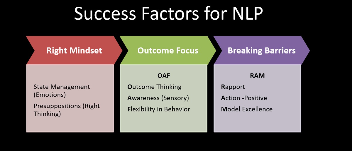 NLP Success Factors